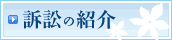 訴訟の紹介(環境事件への取り組み)